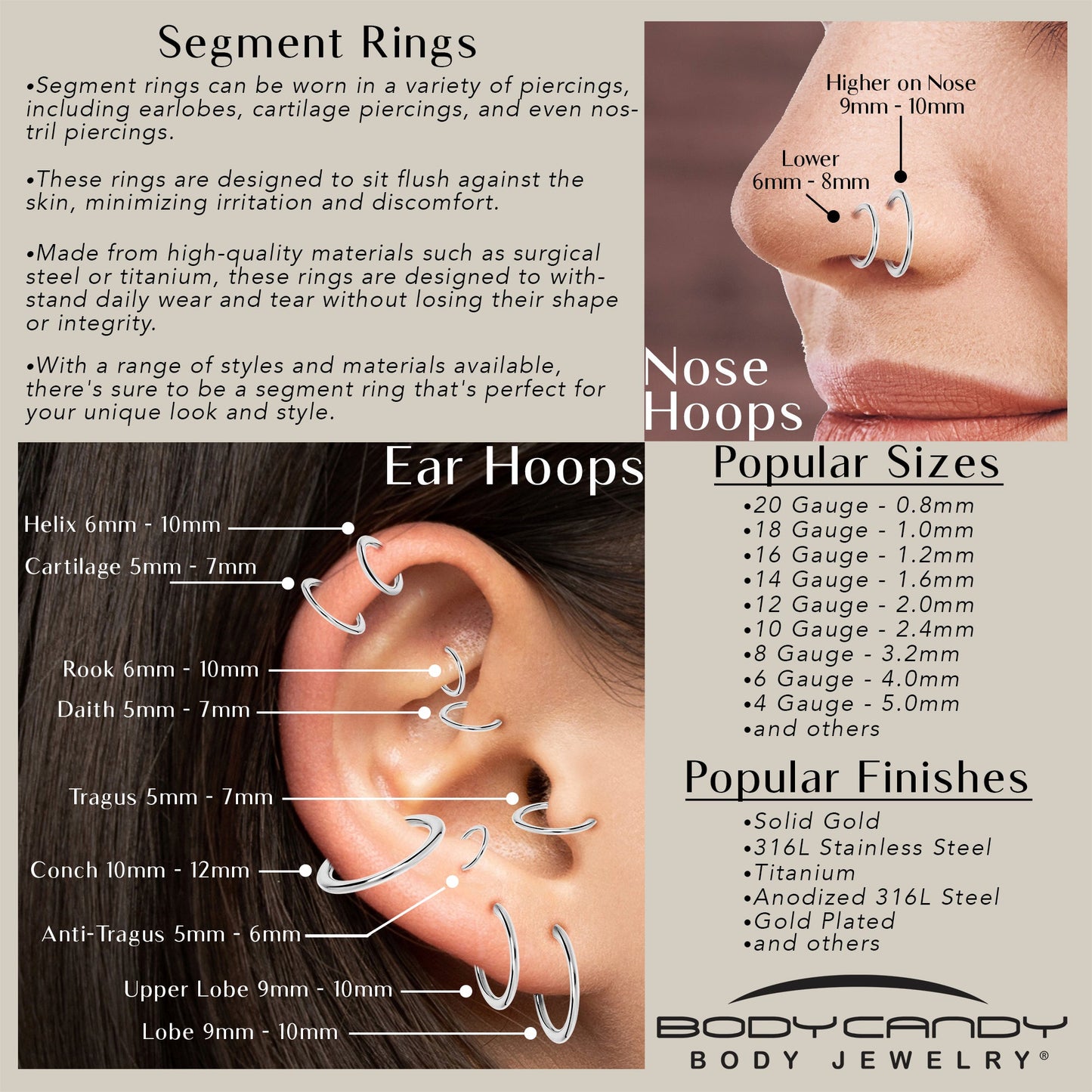 6G 9/16 316L Surgical Steel Precision Hinged Segment Hoop
